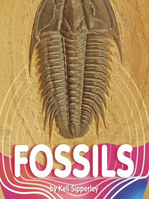 cover image of Fossils